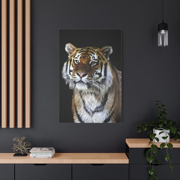 91655-48.jpg Cute Siberian Tiger Standard Canvas