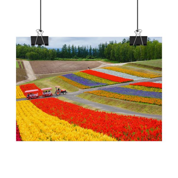 92368-26.jpg Colorful Tulip Field Poster