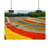 92369-26.jpg Colorful Tulip Field Poster