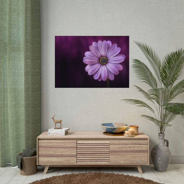 92408-193.jpg Purple Daisy Flower Poster