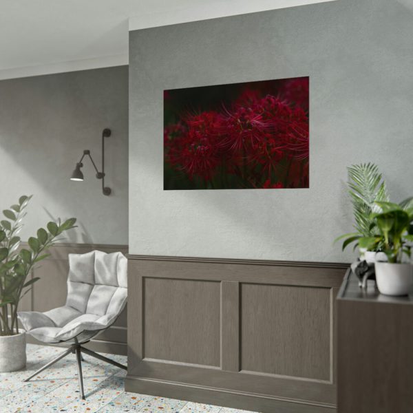 92408-209.jpg Red Spider Lilies Poster