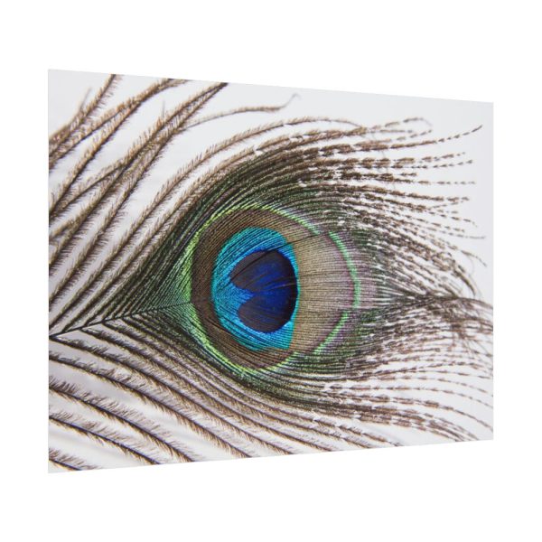 92408-227.jpg Peacock Feather Poster