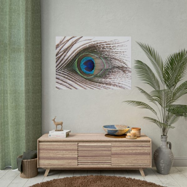 92408-228.jpg Peacock Feather Poster