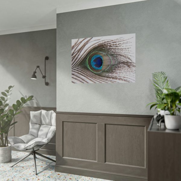 92408-229.jpg Peacock Feather Poster