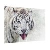 92408-242.jpg White Bengal Tiger Poster