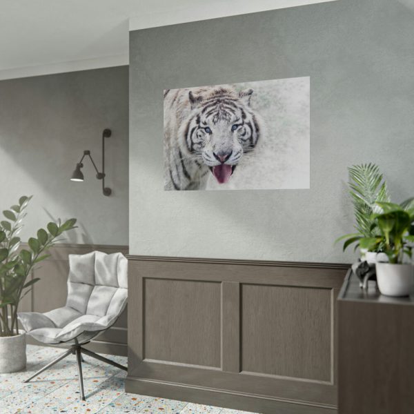 92408-244.jpg White Bengal Tiger Poster