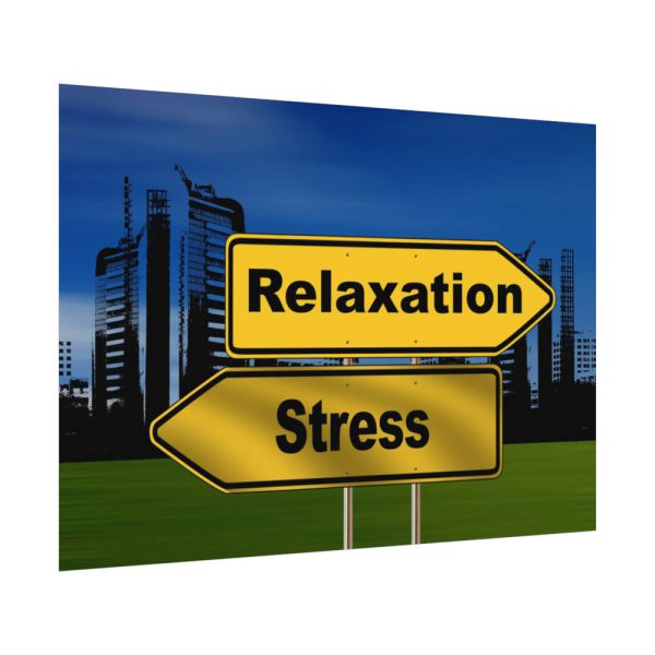 92408-32.jpg Relaxation vs Stress City Poster