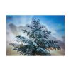 92408-400.jpg Frozen Tree Poster