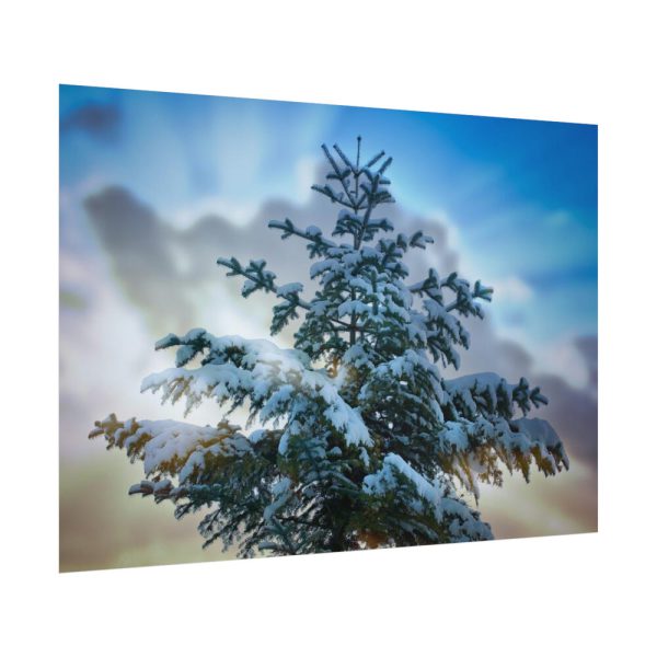 92408-402.jpg Frozen Tree Poster