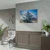 92408-404.jpg Frozen Tree Poster