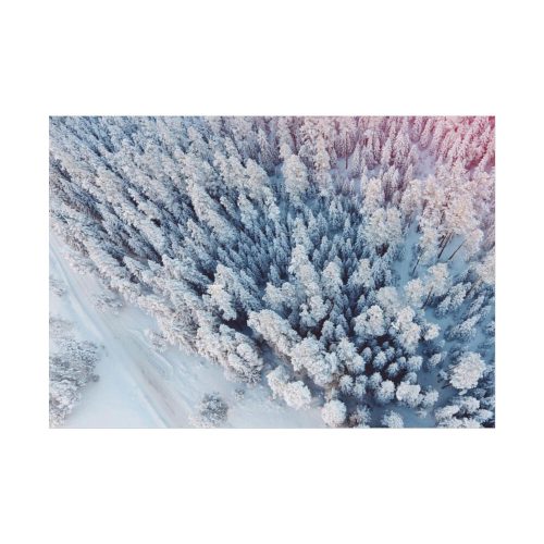 92408-440.jpg Winter Frozen Fir Tree Aerial View Poster