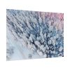 Winter Frozen Fir Tree Aerial View Poster