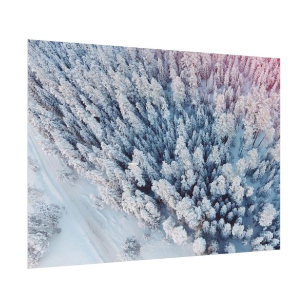 Winter Frozen Fir Tree Aerial View Poster