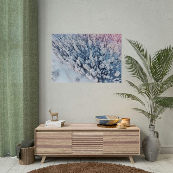 Winter Frozen Fir Tree Aerial View Poster