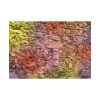 92408-465.jpg Stones and Paint Poster