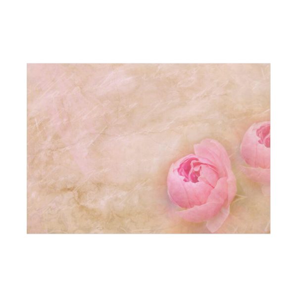 92408-470.jpg Spring Peony Poster