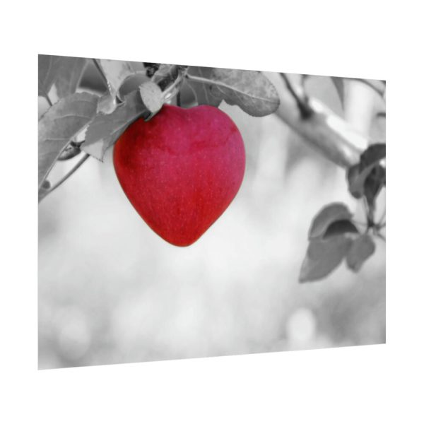 92408-507.jpg Red Apple in the Black and White Poster