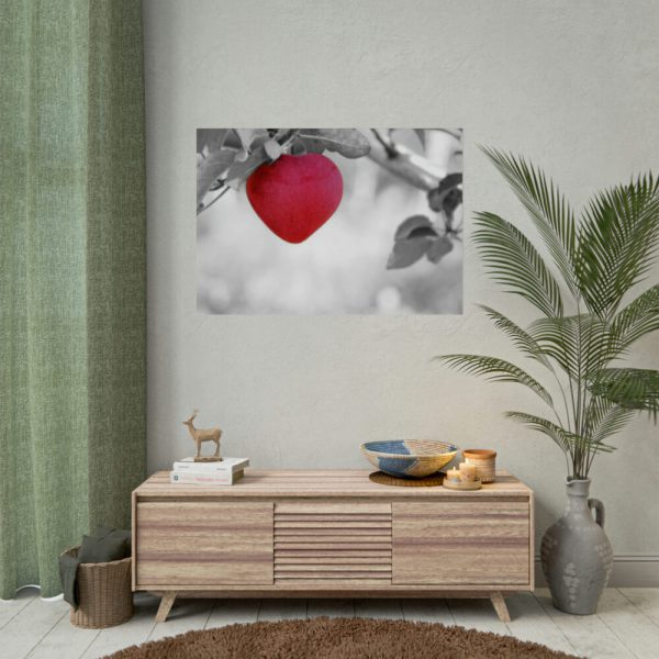 92408-508.jpg Red Apple in the Black and White Poster