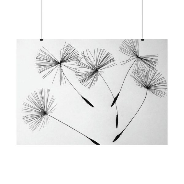 92408-511.jpg Dandelion Flower Poster