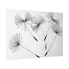 92408-512.jpg Dandelion Flower Poster