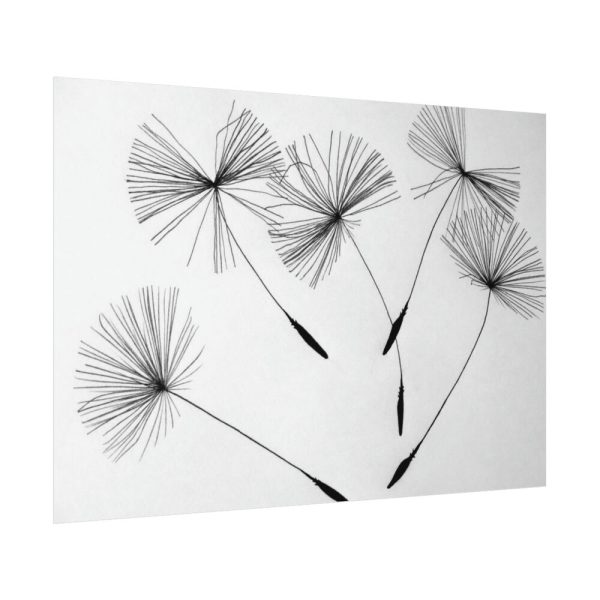 92408-512.jpg Dandelion Flower Poster