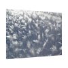 92408-587.jpg Closeup on Ice Crystals Poster