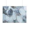 92408-591.jpg Leaves Covered in Ice Crystals Poster