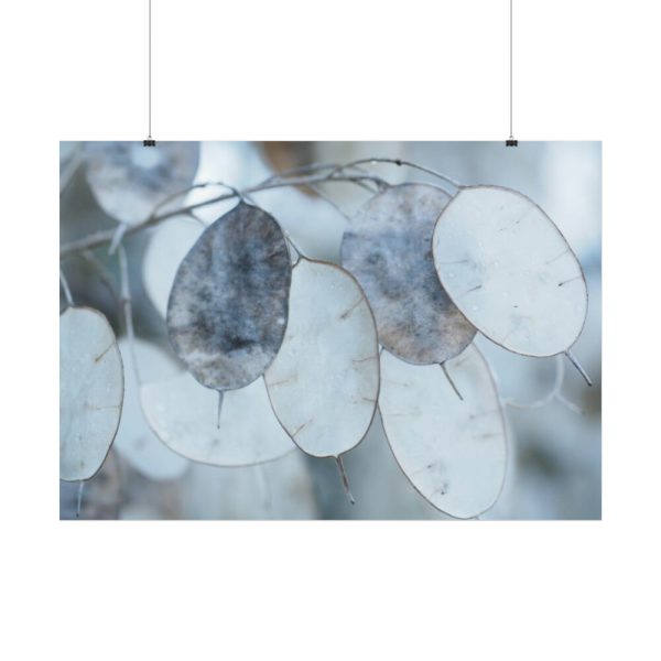 92408-591.jpg Leaves Covered in Ice Crystals Poster