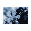 92408-600.jpg Closeup on Textured Frost Poster