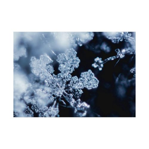92408-600.jpg Closeup on Textured Frost Poster