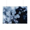 92408-601.jpg Closeup on Textured Frost Poster