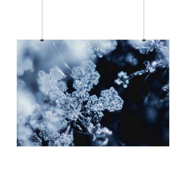 92408-601.jpg Closeup on Textured Frost Poster