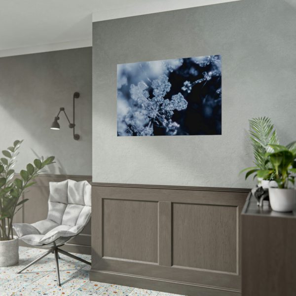 92408-604.jpg Closeup on Textured Frost Poster