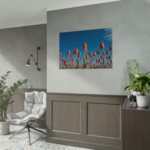92408-624.jpg A Low-Angle Shot of a Field of Red Tulips Poster