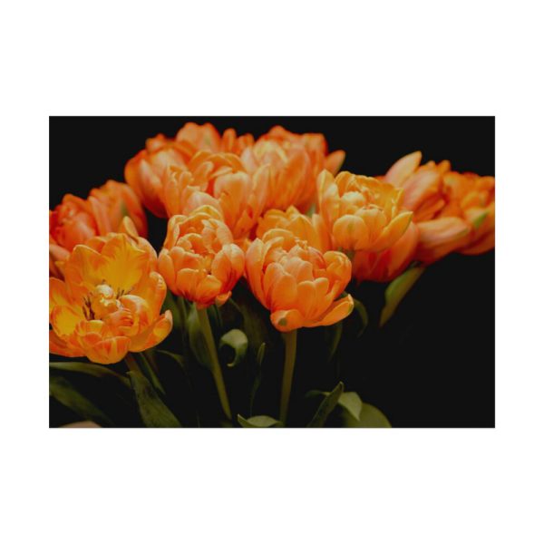 A Bouquet of Bright Orange Tulips Poster