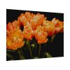 A Bouquet of Bright Orange Tulips Poster