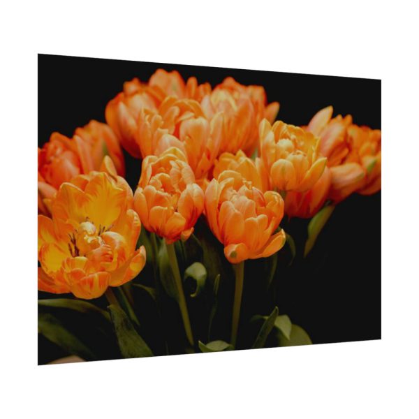 A Bouquet of Bright Orange Tulips Poster