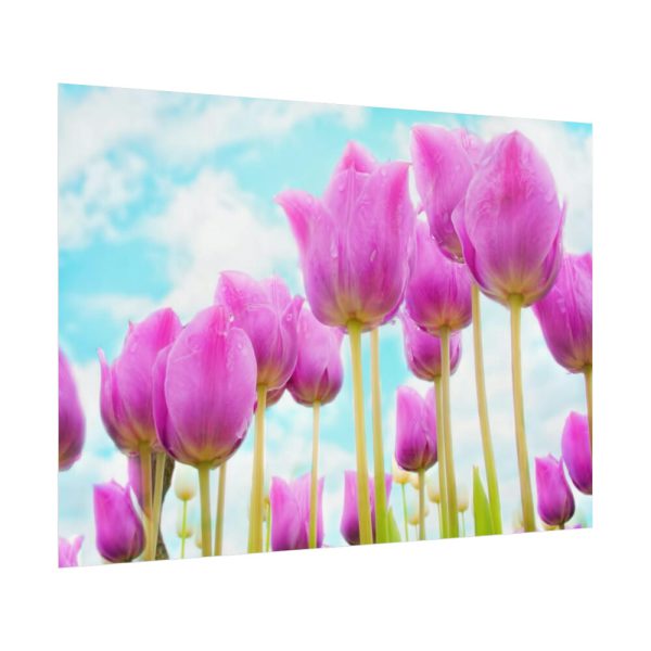 92408-697.jpg Pink Tulip Poster