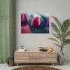 Blooming Pink Tulips in the Evening Light Poster