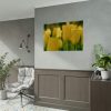 Yellow Tulips Blooming in the Field Poster