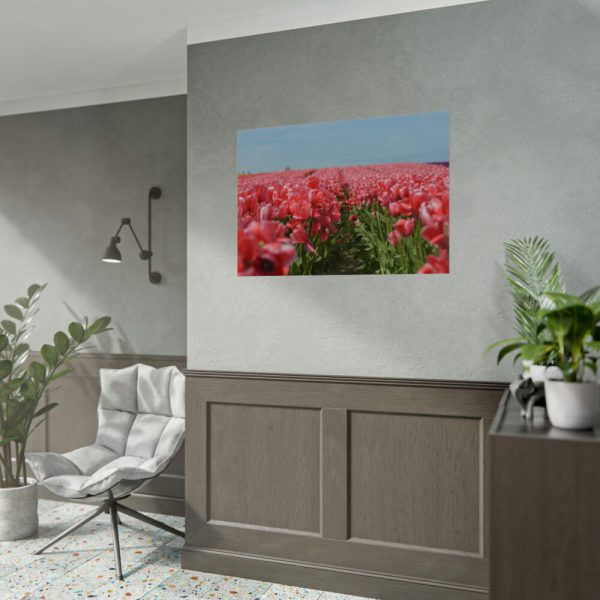 92408-724.jpg Pink Tulip Field Poster