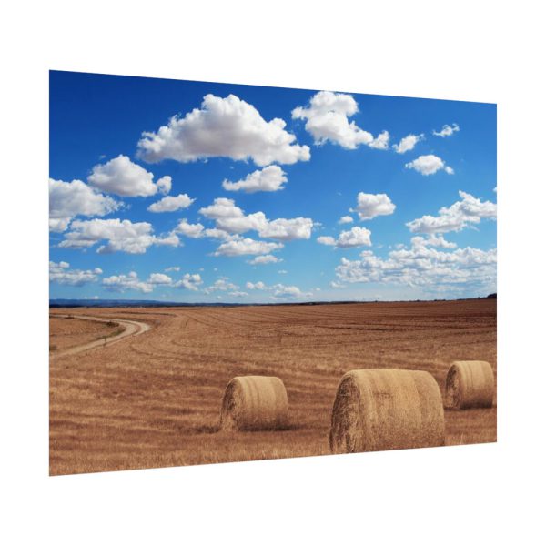Agriculture Harvest Corn Poster