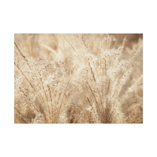 Wheat Crops Poster