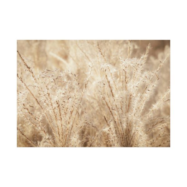 92408-779.jpg Wheat Crops Poster