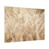 92408-781.jpg Wheat Crops Poster