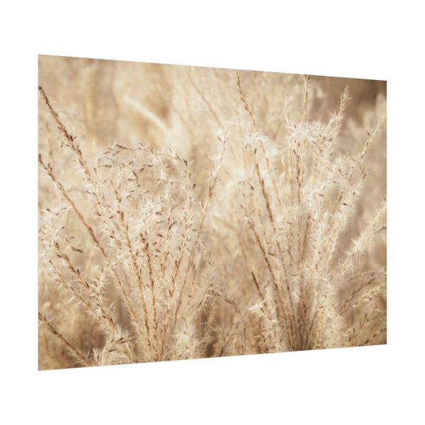 92408-781.jpg Wheat Crops Poster