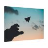92408-801.jpg Paper Plane in Sky Poster
