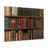 92409-132.jpg Antique Books in a Library Poster