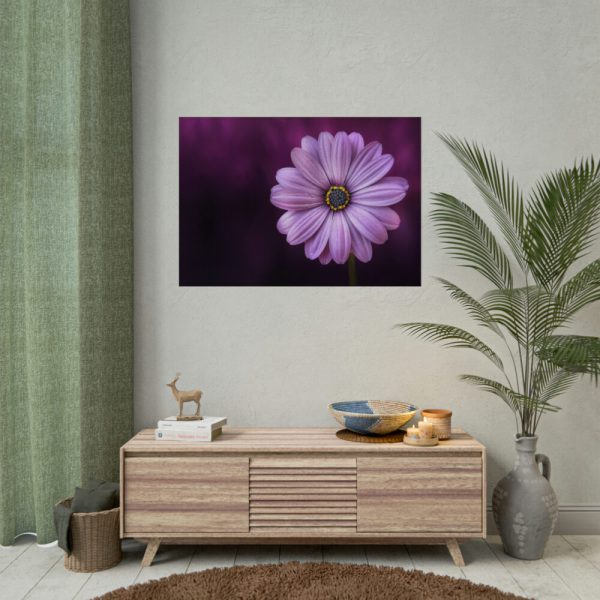 92409-193.jpg Purple Daisy Flower Poster