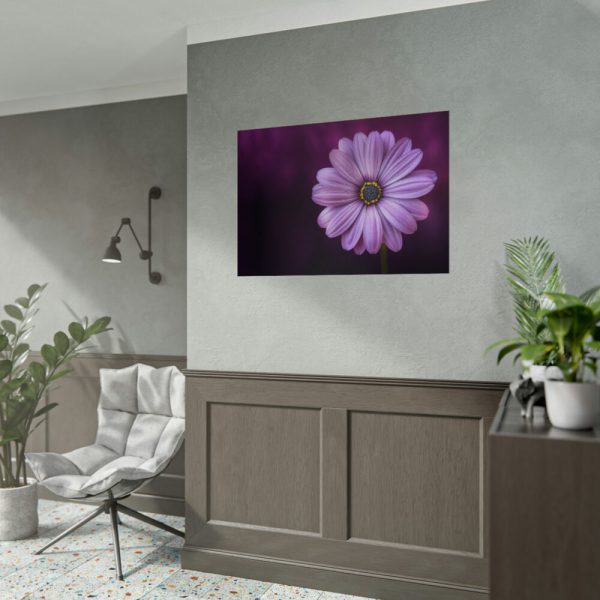 92409-194.jpg Purple Daisy Flower Poster